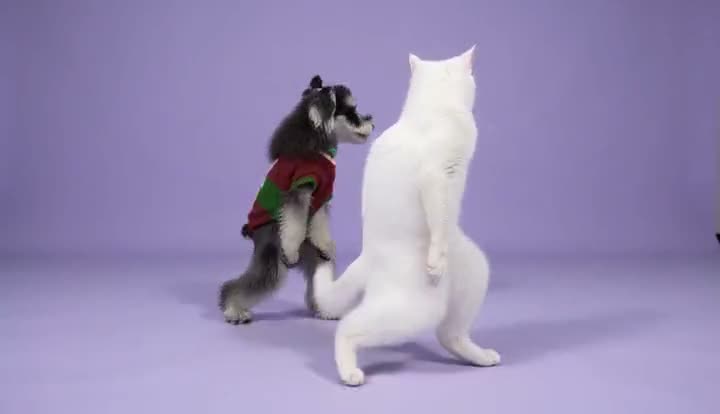 Neon Duet